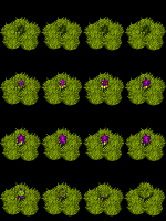 /album/characters-para-rpg-maker-xp/char-ninho-cactitus-png/
